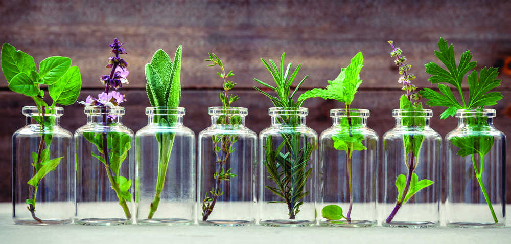 Essential Oils for Mental Peace