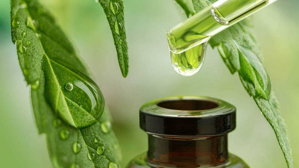 The truth about CBD. CBD may hold the key to the wide variety of medicinal and therapeutic effects. It may also revolutionize medicine as we know it.