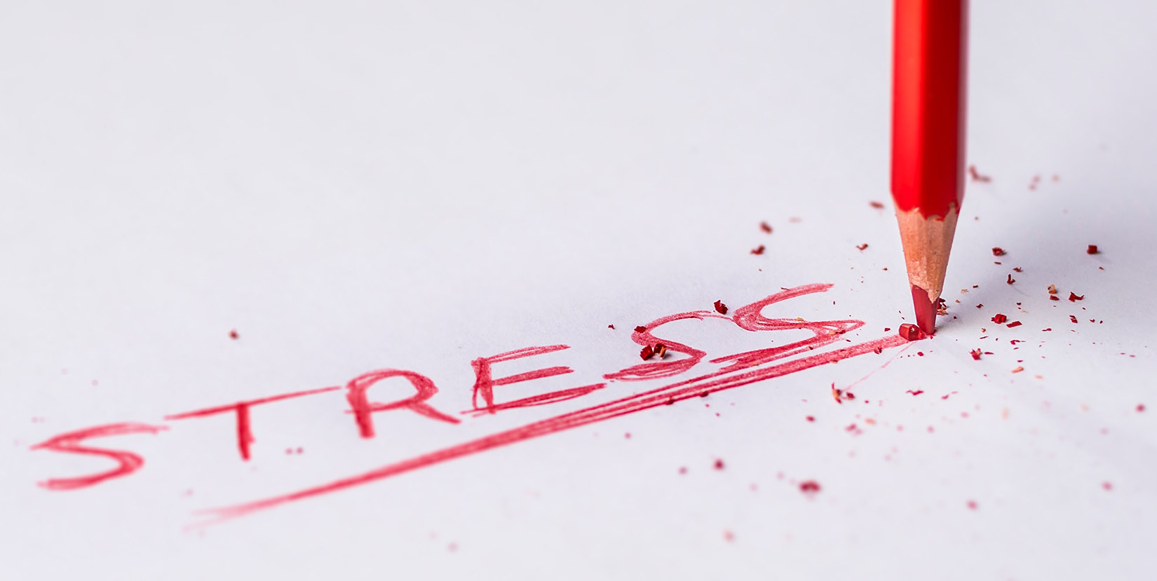 holistic stress management
