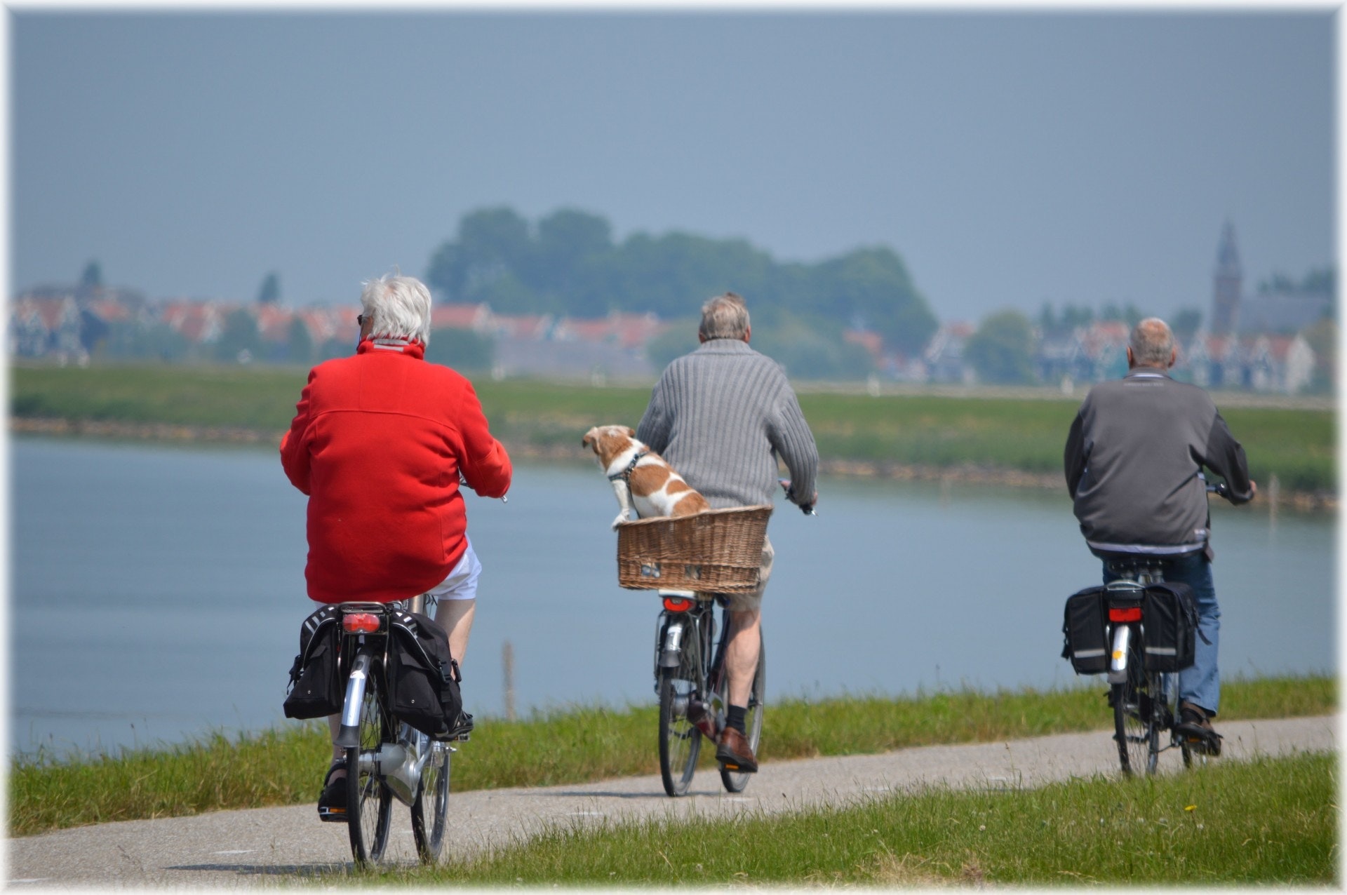 elderly chiropractic care